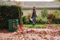 BGA505.jpg