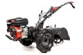 CEDRUSGLX650_01.jpg