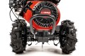 CEDRUSGLX650_10.jpg