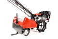 CEDRUSGLX540_05.jpg