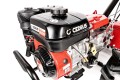 CEDRUSGLX540_11.jpg