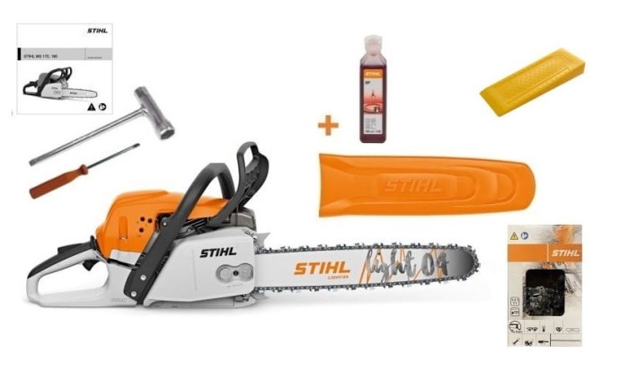 ms291.jpg