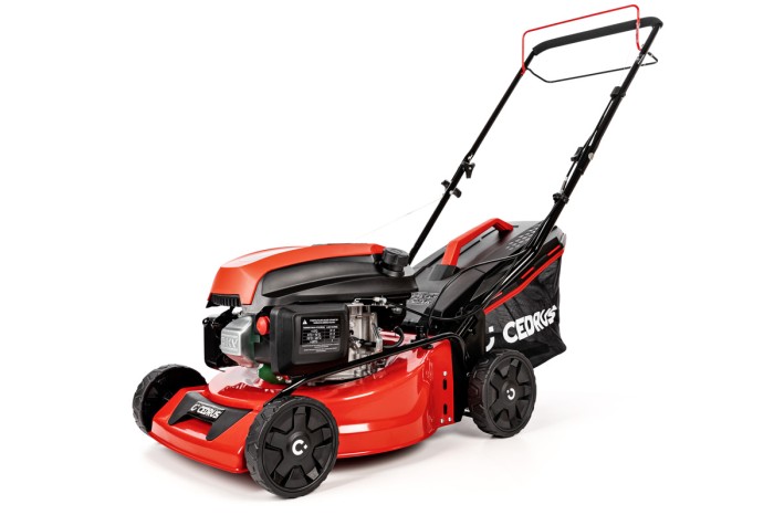 CEDKS42S_2025_01.jpg