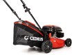 CEDKS42S_2025_05.jpg