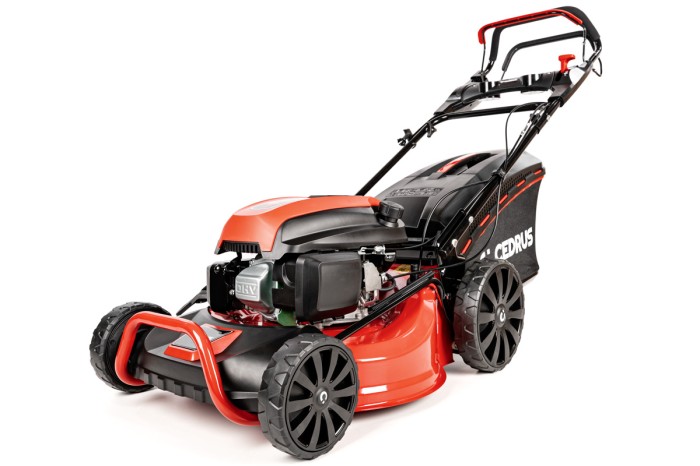 CEDKS48S_2025_01.jpg