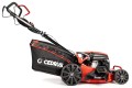 CEDKS48S_2025_04.jpg
