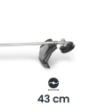 5.webp