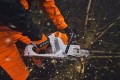 msa260_10.jpg
