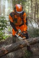 msa260_12.jpg
